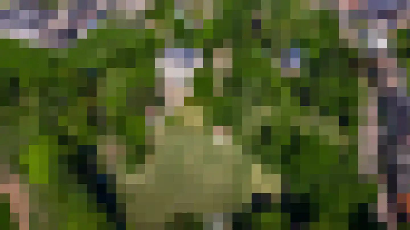 Rijksweg 68 Gronsveld thumbnail 56
