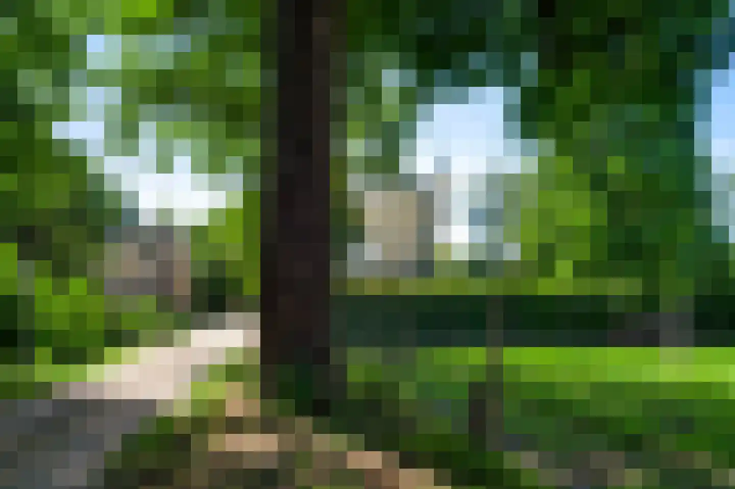Rijksweg 68 Gronsveld thumbnail 6
