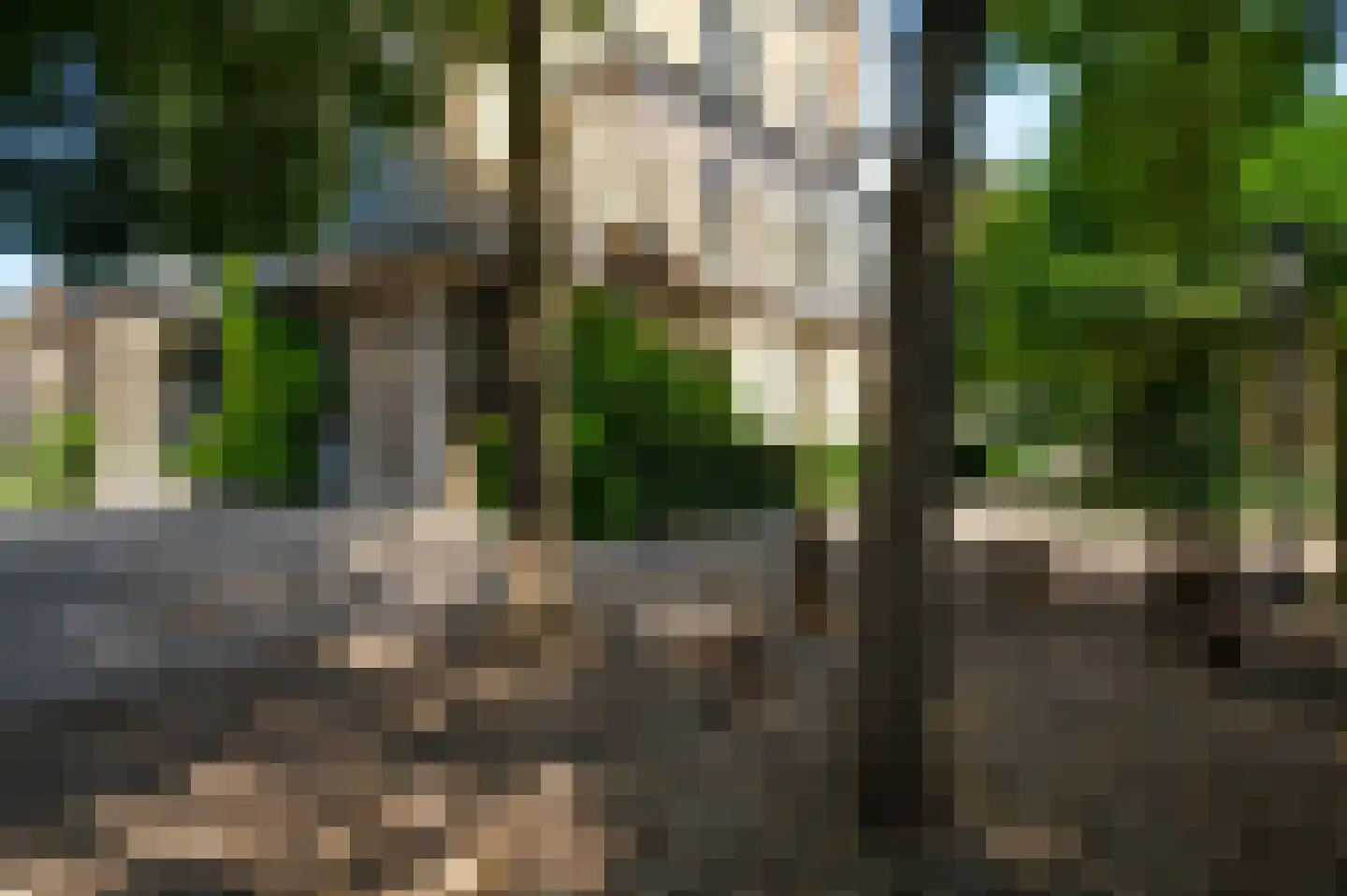 Rijksweg 68 Gronsveld thumbnail 8