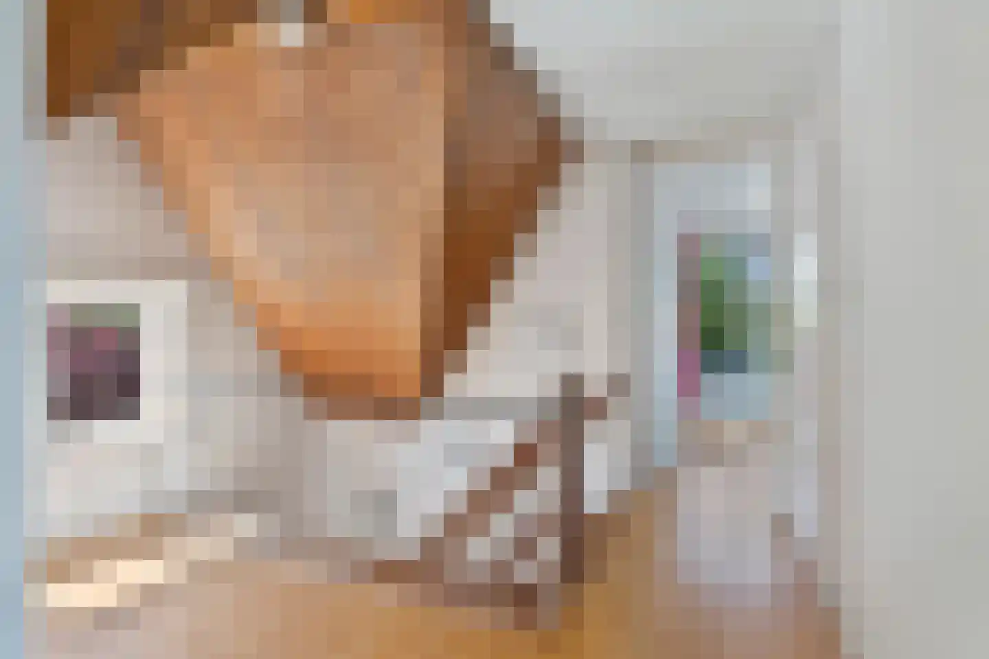 Rijksweg 68 Malden thumbnail 34