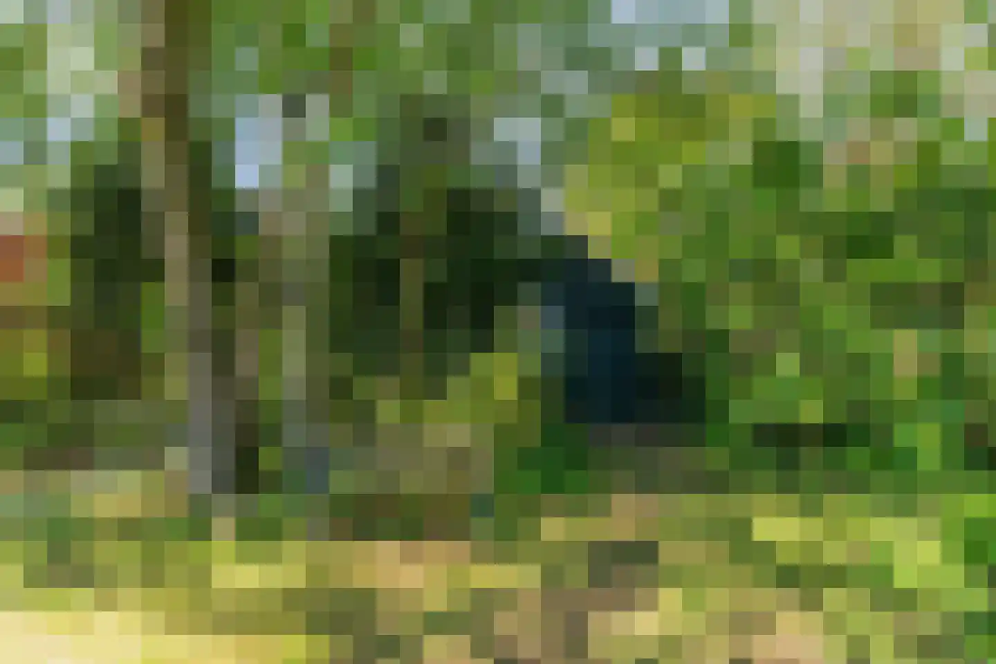Rijksweg 68 Malden thumbnail 56