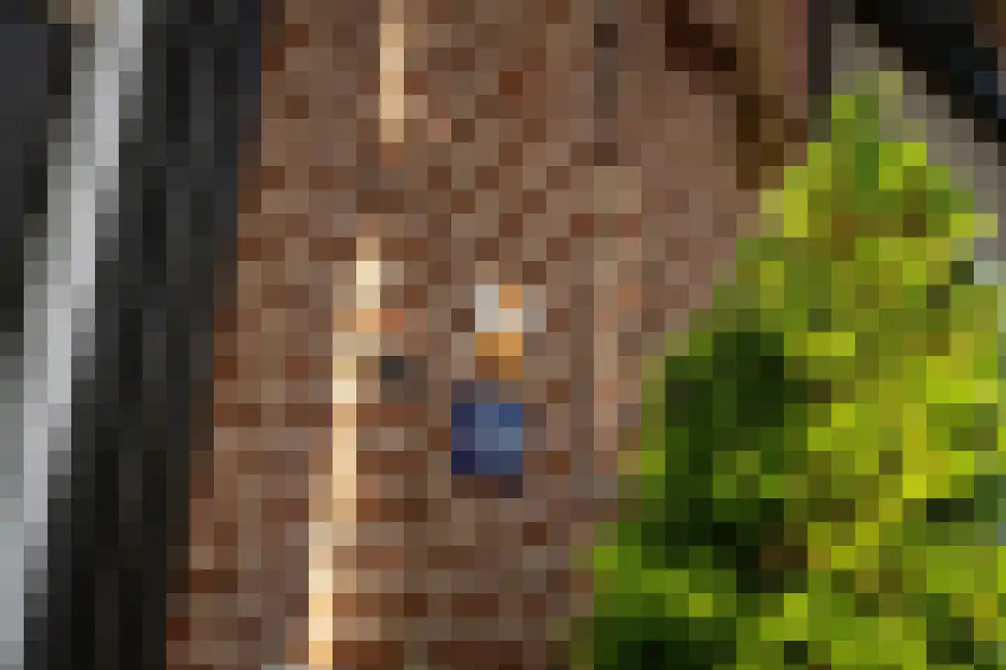 Rijksweg 69 Nieuwendijk thumbnail 10
