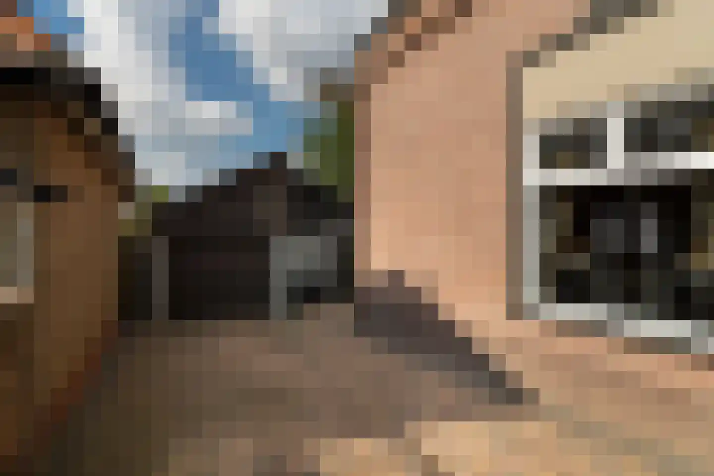 Rijksweg 69 Nieuwendijk thumbnail 11