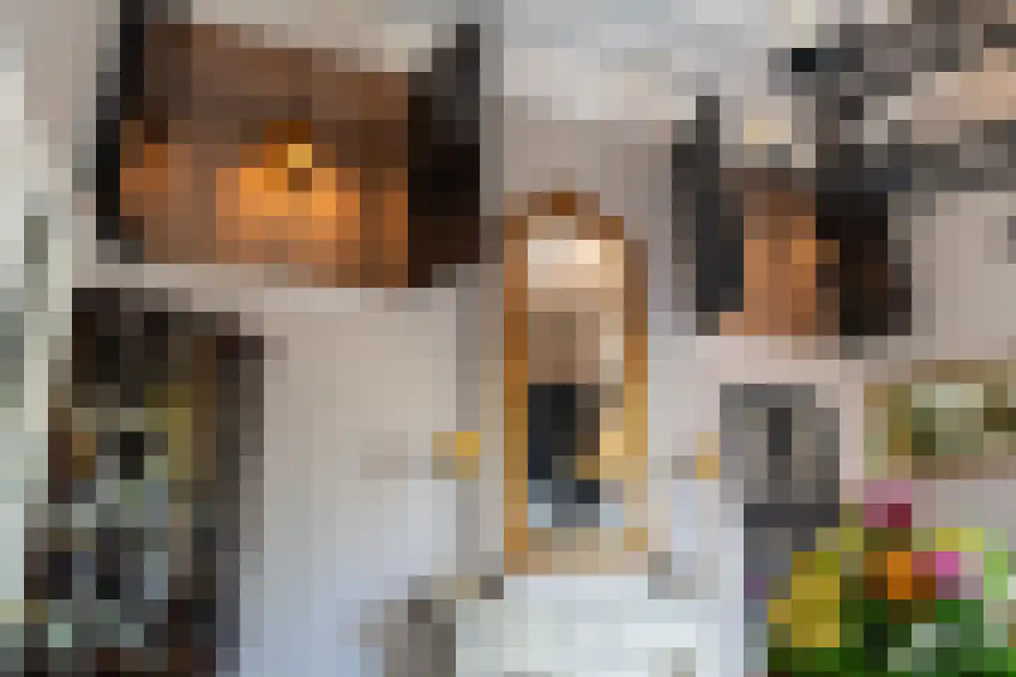 Rijksweg 69 Nieuwendijk thumbnail 16