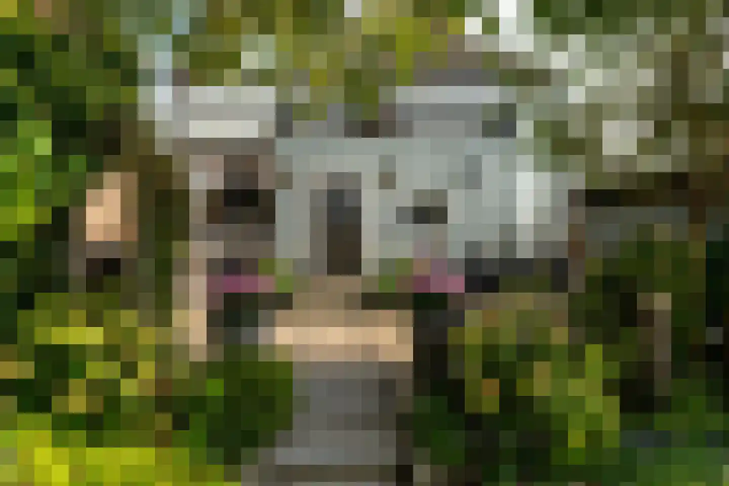 Rijksweg 69 Nieuwendijk foto 2