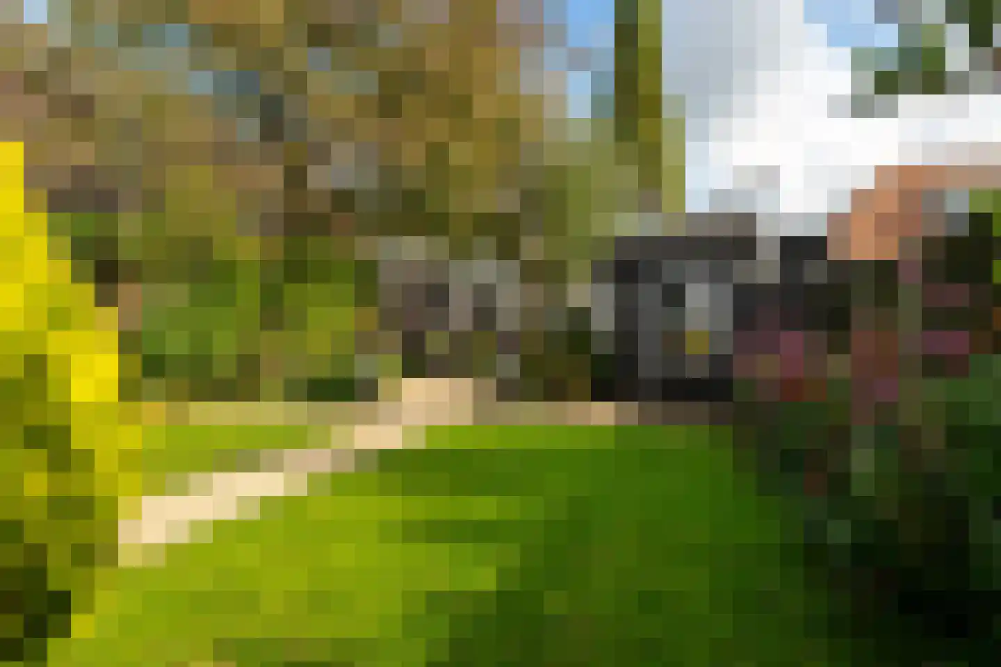 Rijksweg 69 Nieuwendijk foto 3