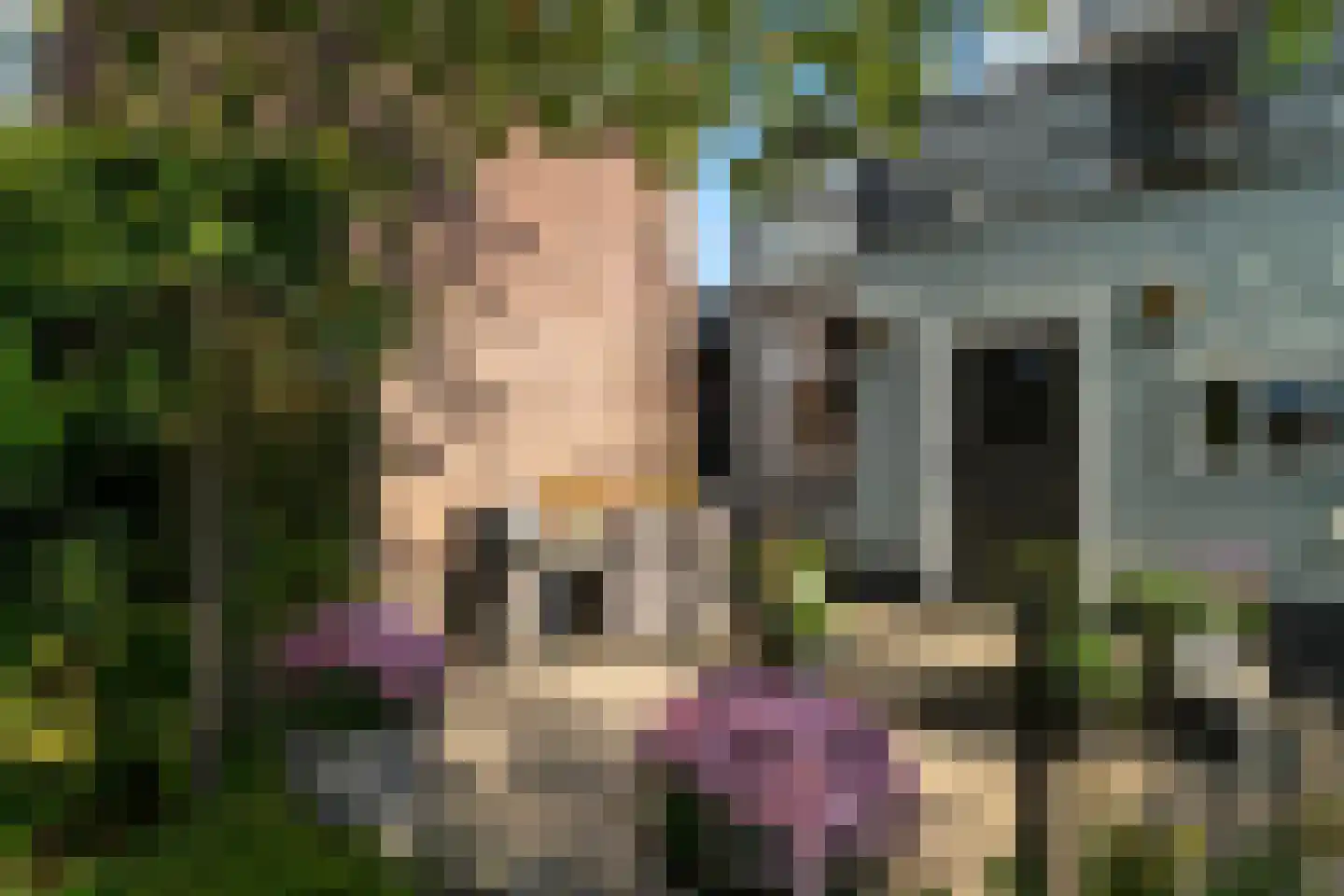 Rijksweg 69 Nieuwendijk thumbnail 42