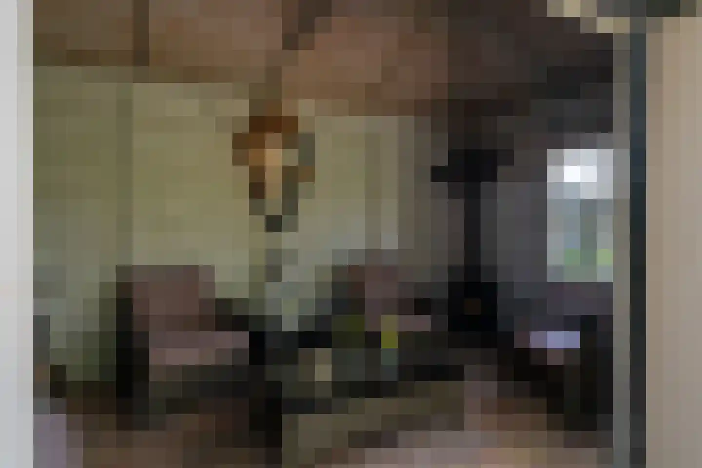 Rijksweg 69 Nieuwendijk thumbnail 46