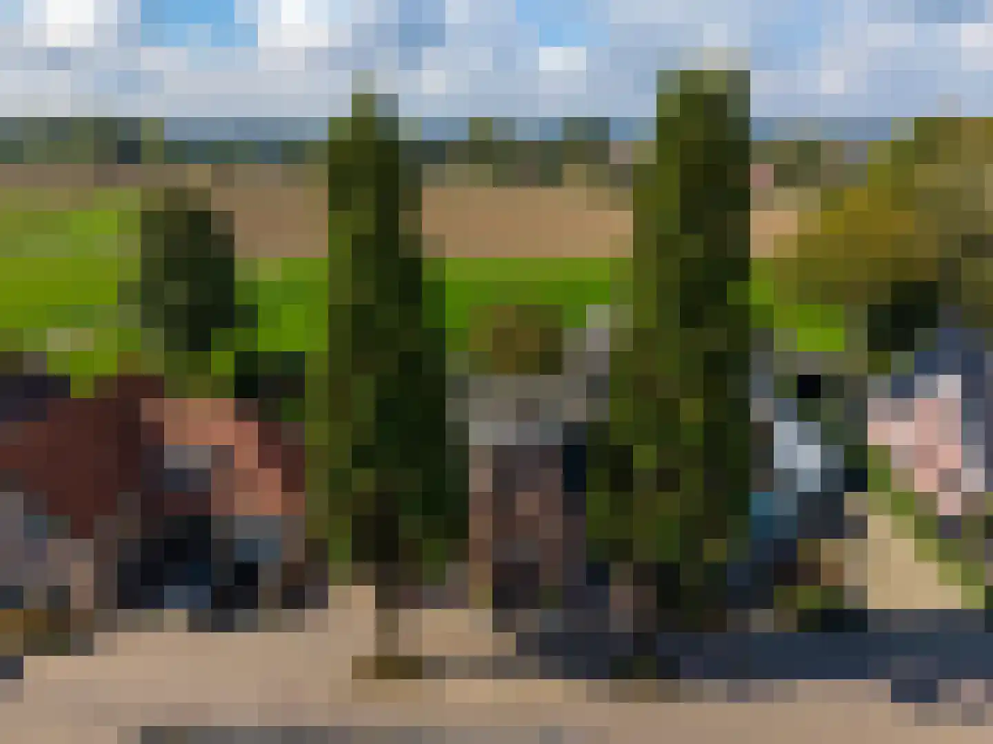 Rijksweg 69 Nieuwendijk thumbnail 6