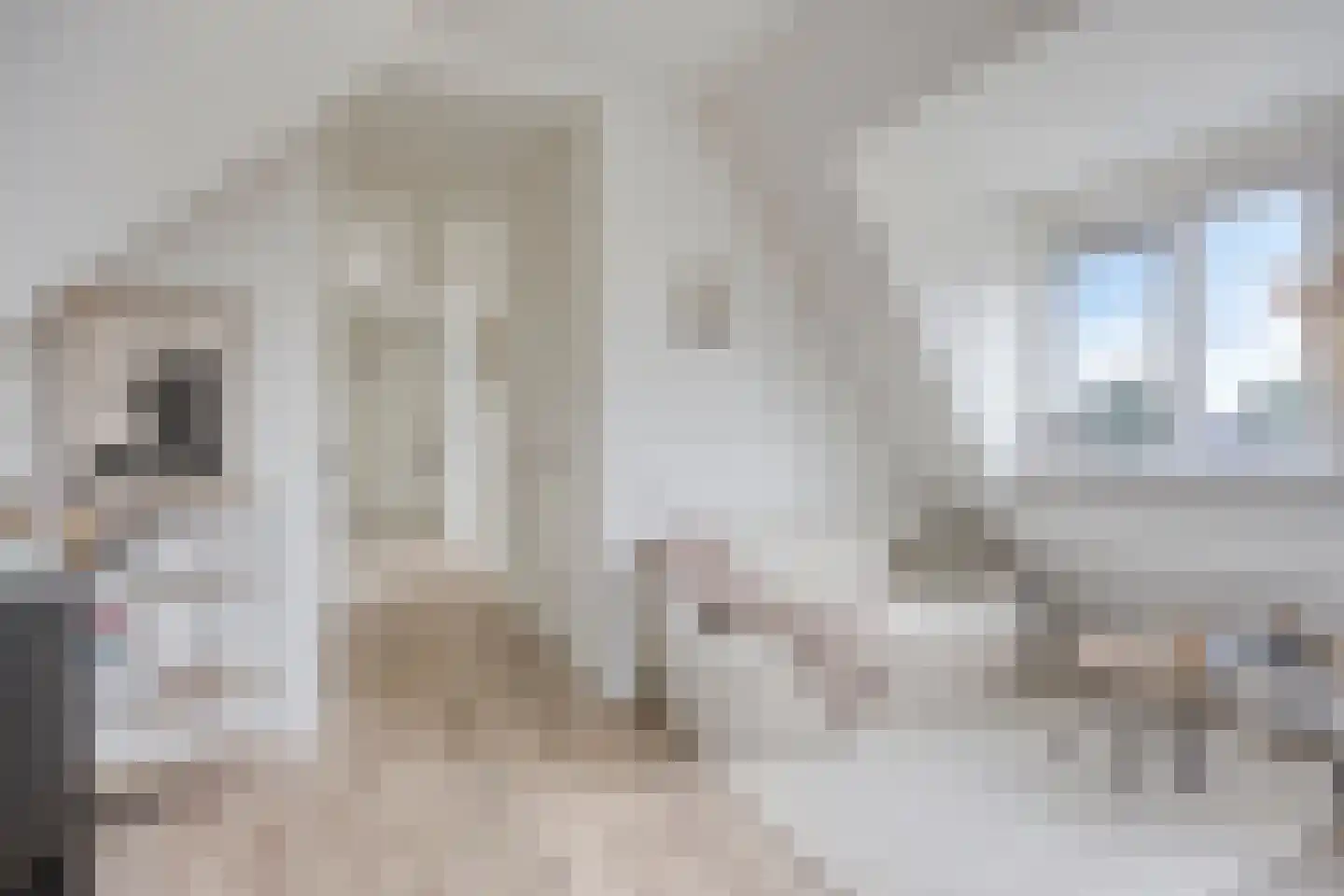 Rijksweg 7 b Molenhoek thumbnail 15