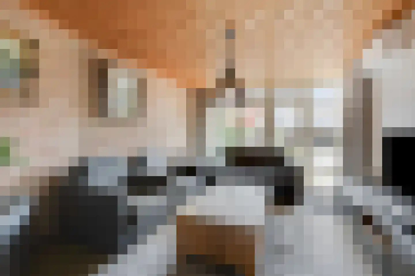 Rijksweg 7 Duiven thumbnail 15