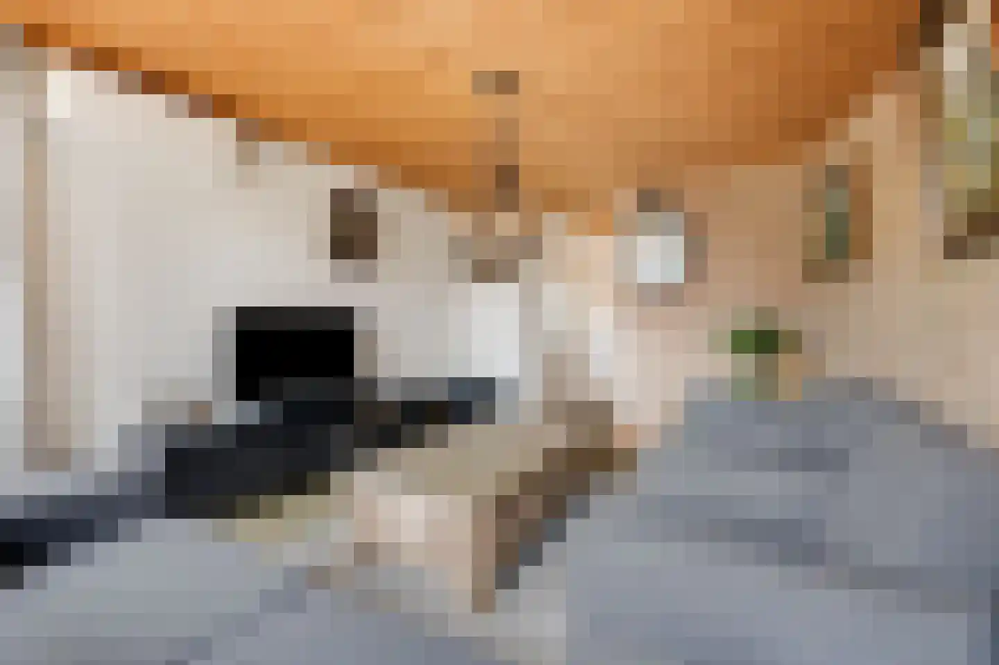 Rijksweg 7 Duiven thumbnail 17