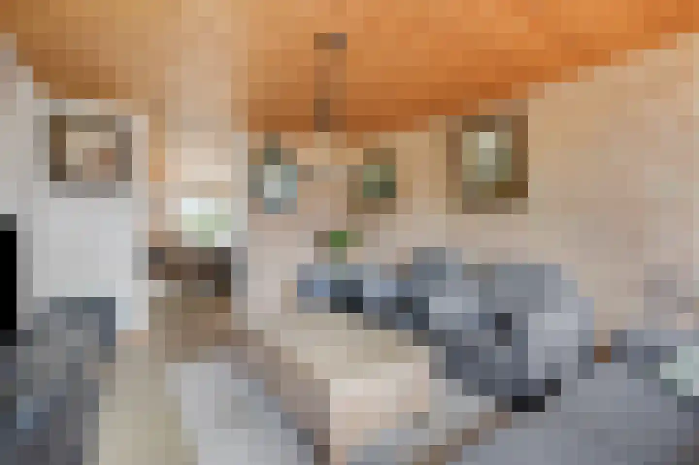 Rijksweg 7 Duiven thumbnail 18