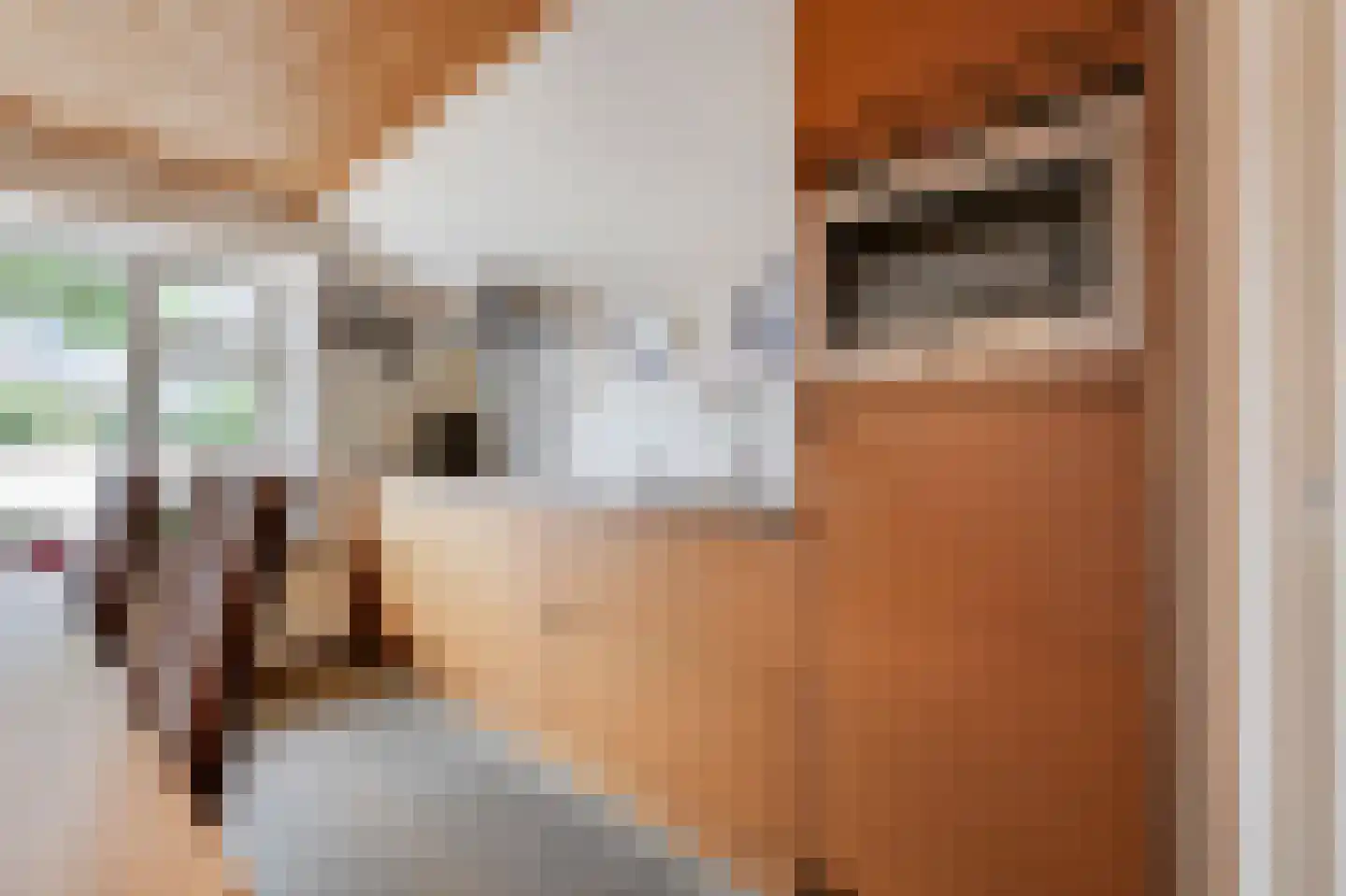 Rijksweg 7 Duiven thumbnail 21