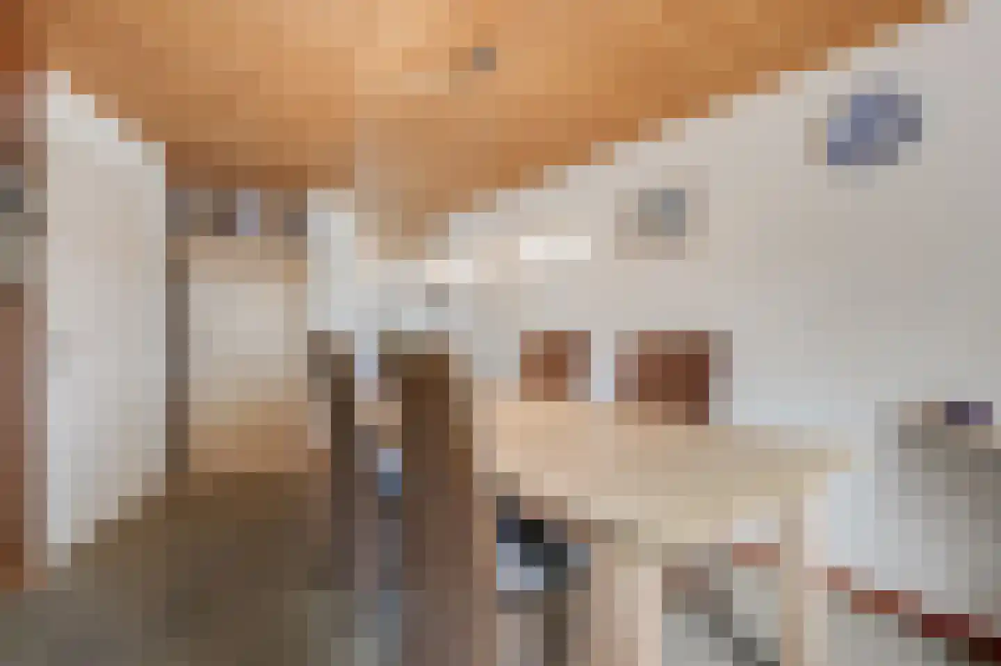 Rijksweg 7 Duiven thumbnail 23