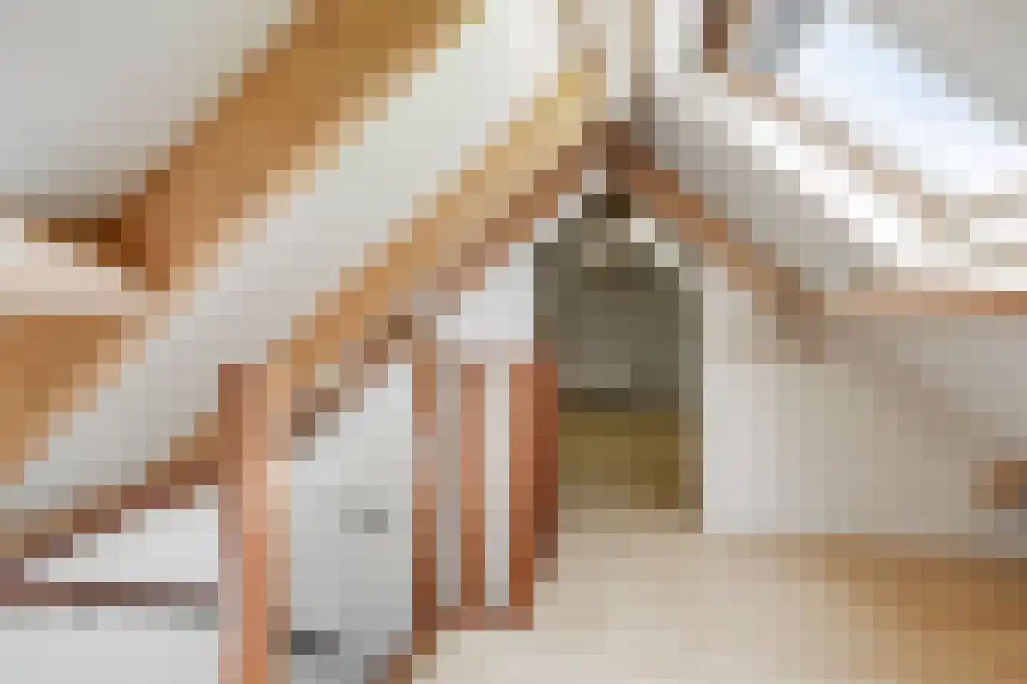 Rijksweg 7 Duiven thumbnail 49