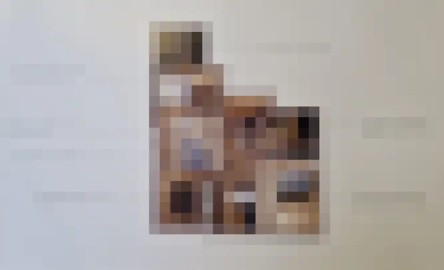 Rijksweg 7 Duiven thumbnail 74