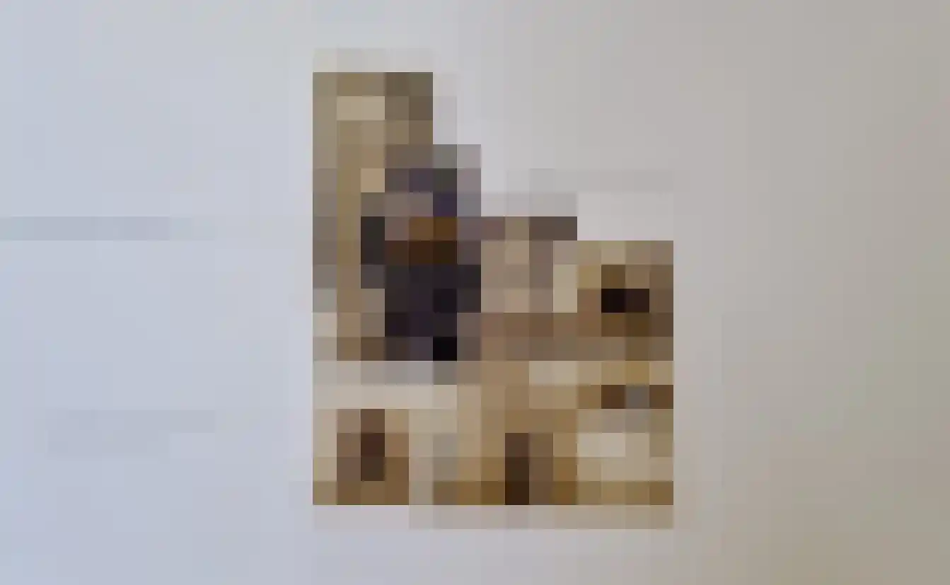 Rijksweg 7 Duiven thumbnail 76