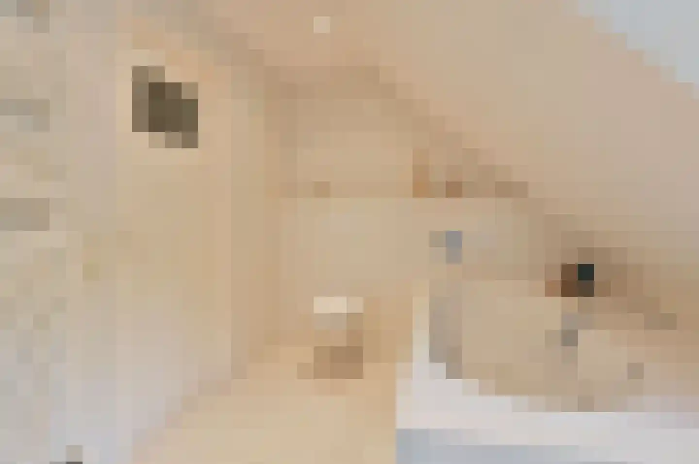 Rijksweg 7 Eemnes thumbnail 20