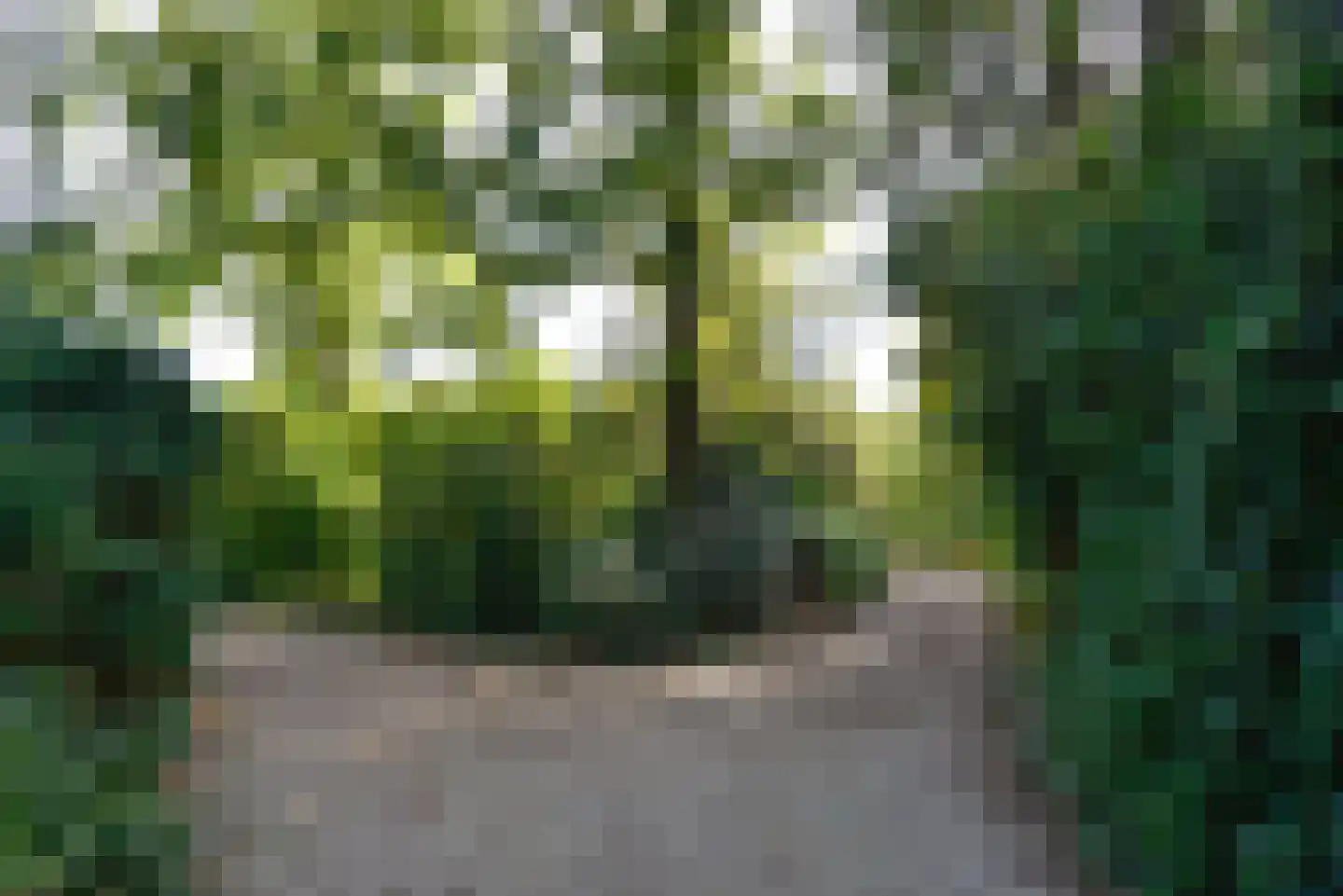 Rijksweg 7 Eemnes thumbnail 23