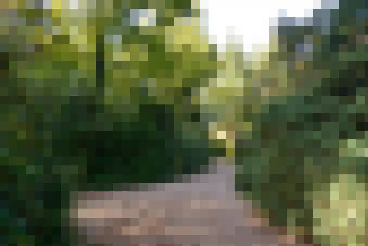 Rijksweg 7 Eemnes thumbnail 26