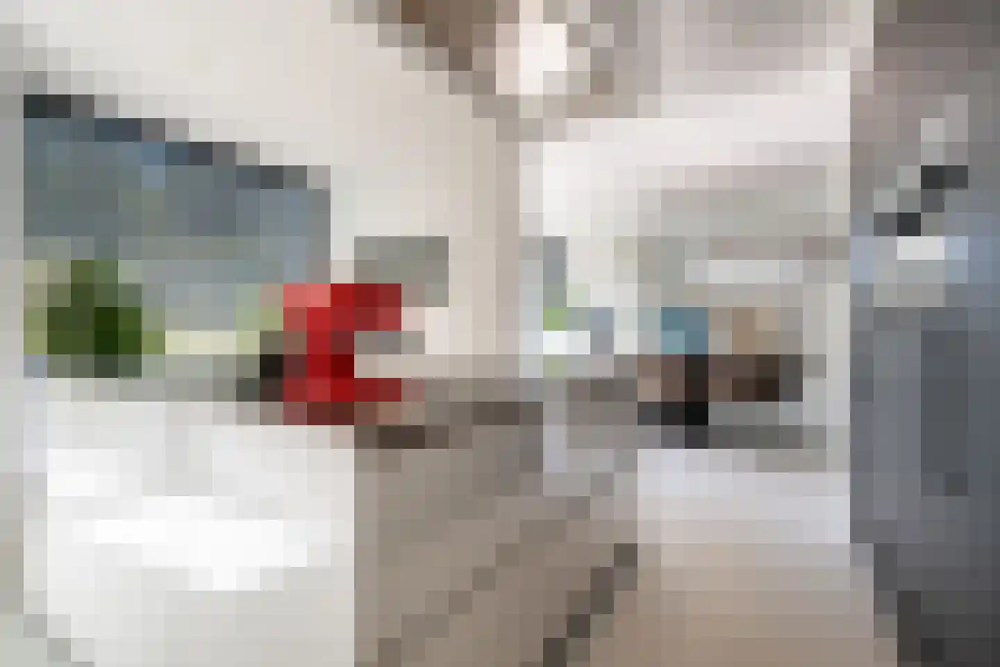 Rijksweg 70 B Wittem thumbnail 14