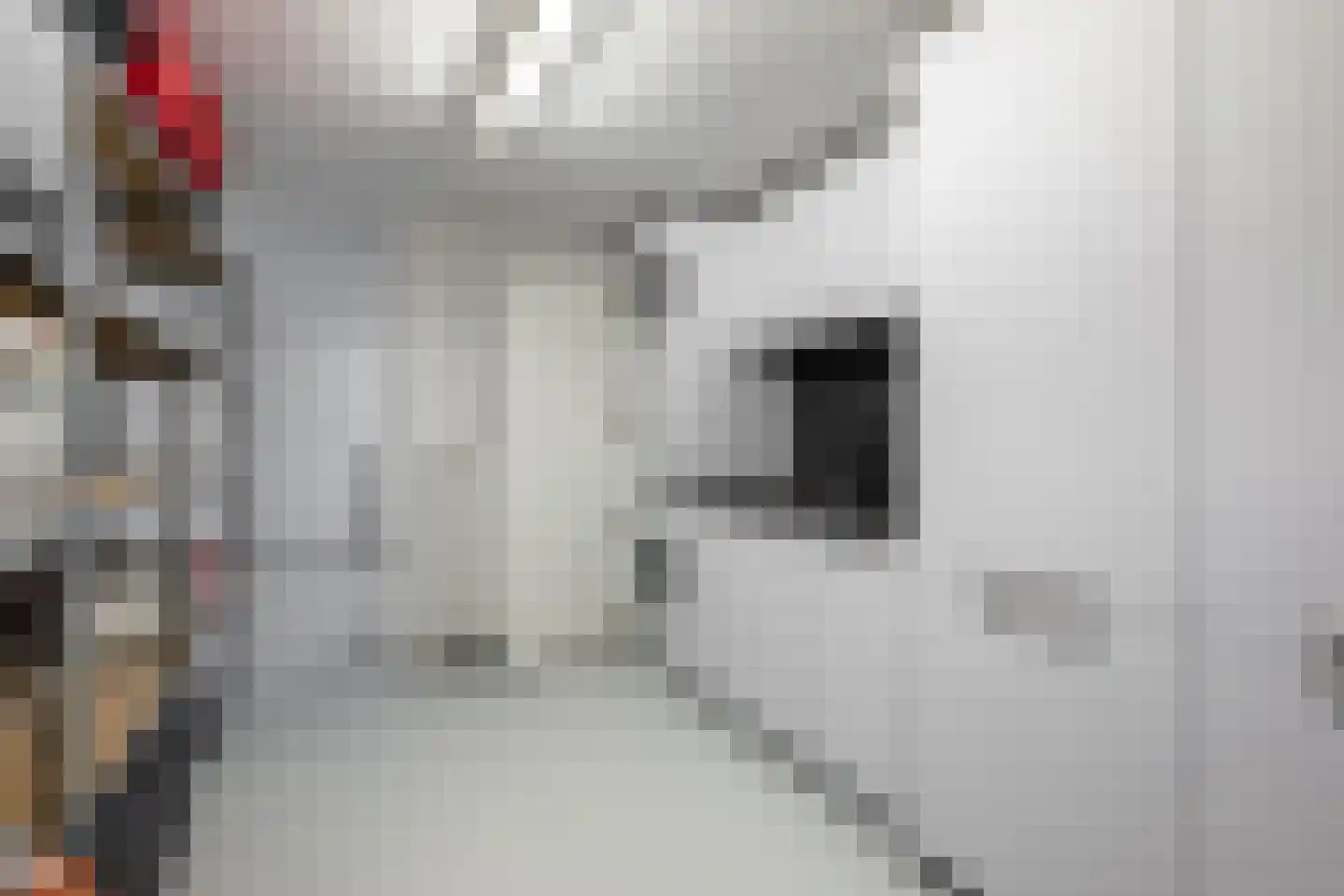Rijksweg 70 B Wittem thumbnail 27