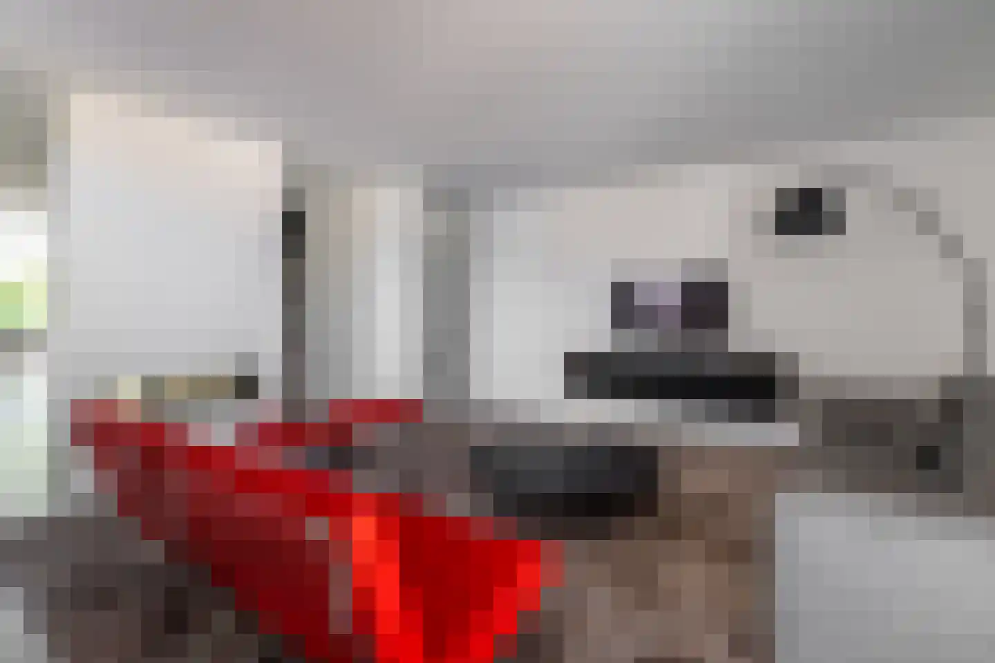 Rijksweg 70 B Wittem thumbnail 9