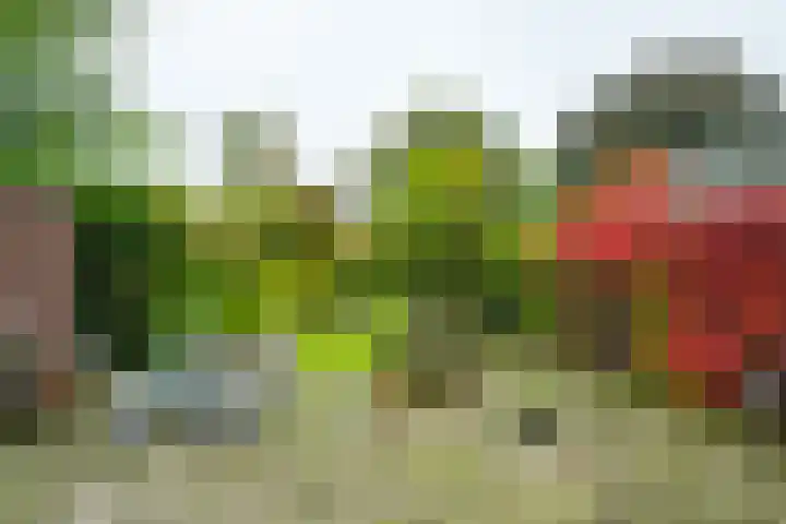 Rijksweg 73 Laag-Keppel thumbnail 53