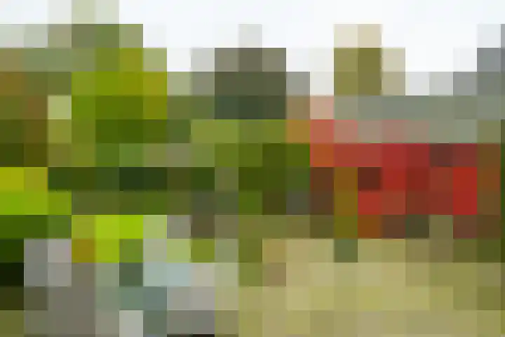 Rijksweg 73 Laag-Keppel thumbnail 54