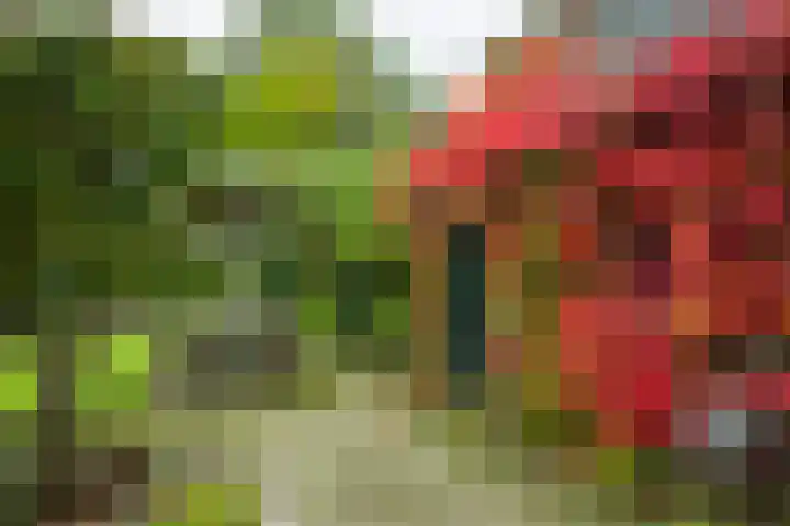 Rijksweg 73 Laag-Keppel thumbnail 56