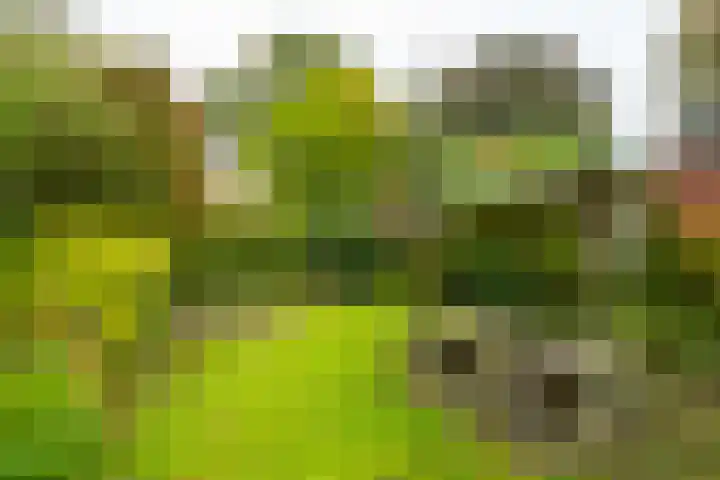 Rijksweg 73 Laag-Keppel thumbnail 57