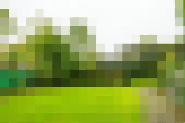 Rijksweg 73 Laag-Keppel thumbnail 61