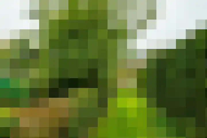 Rijksweg 73 Laag-Keppel thumbnail 62