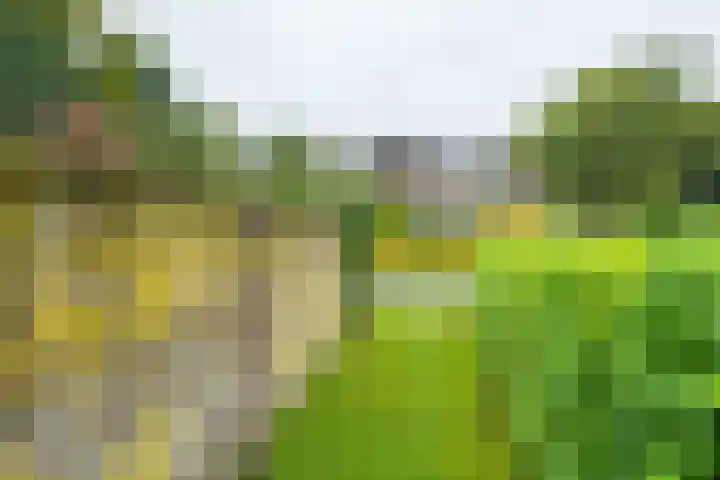 Rijksweg 73 Laag-Keppel thumbnail 63