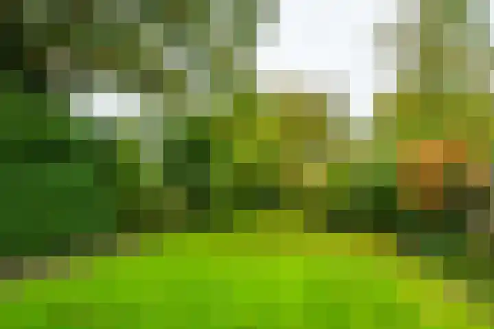 Rijksweg 73 Laag-Keppel thumbnail 64
