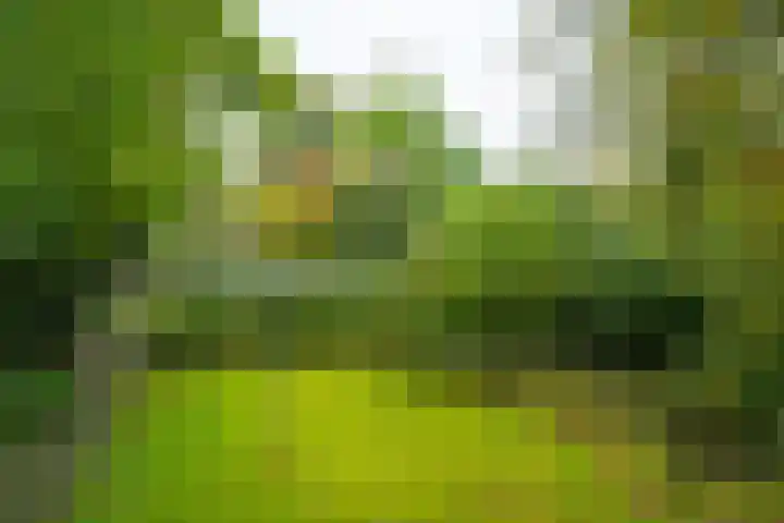 Rijksweg 73 Laag-Keppel thumbnail 65