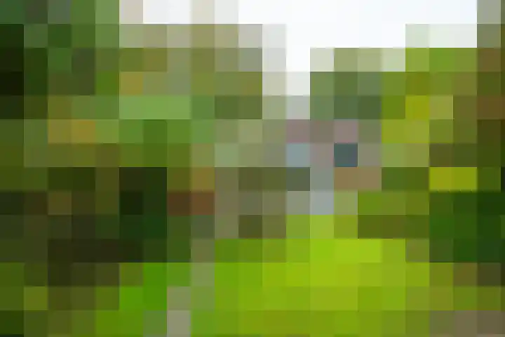 Rijksweg 73 Laag-Keppel thumbnail 66