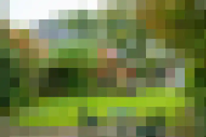 Rijksweg 73 Laag-Keppel thumbnail 67
