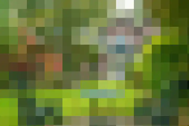 Rijksweg 73 Laag-Keppel thumbnail 68