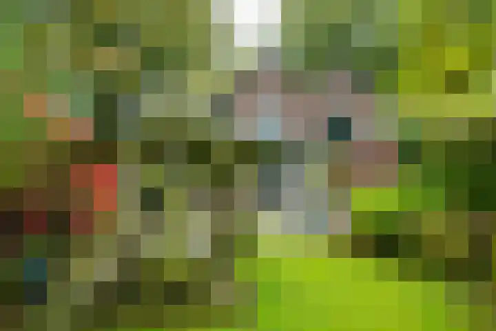Rijksweg 73 Laag-Keppel thumbnail 69