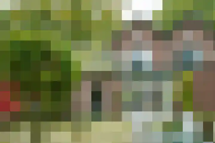 Rijksweg 73 Laag-Keppel thumbnail 70