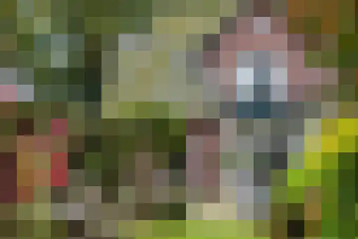Rijksweg 73 Laag-Keppel thumbnail 71