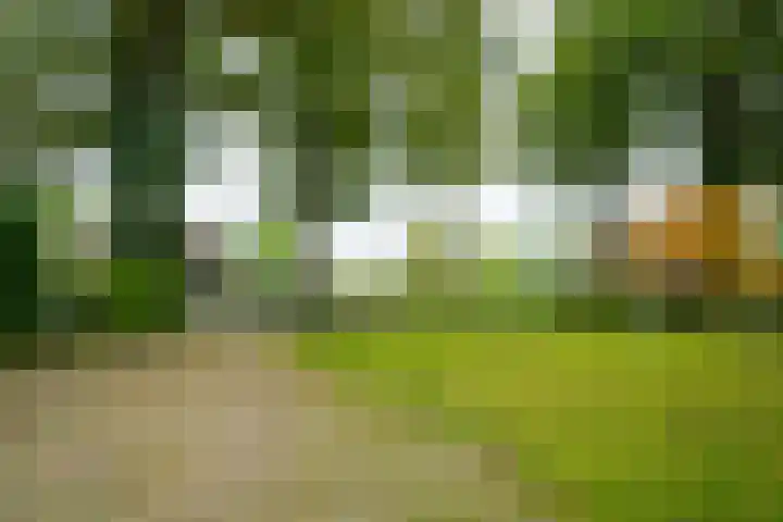 Rijksweg 73 Laag-Keppel thumbnail 9