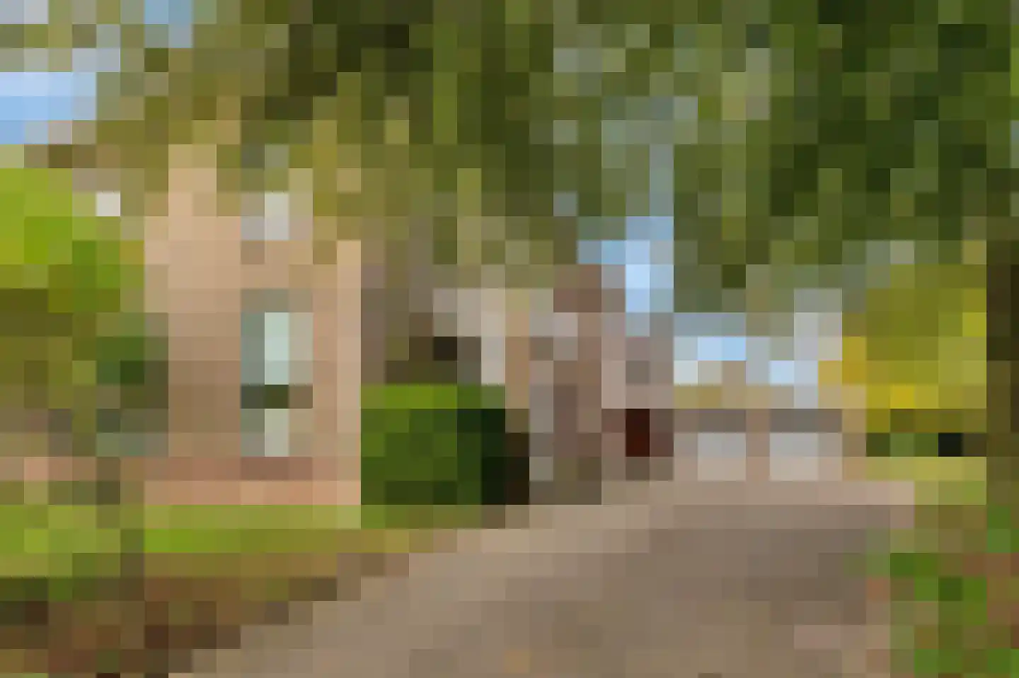 Rijksweg 77 Berg en Terblijt thumbnail 5