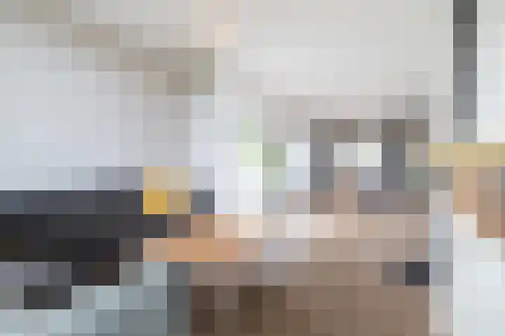 Rijksweg 77 Smilde thumbnail 10