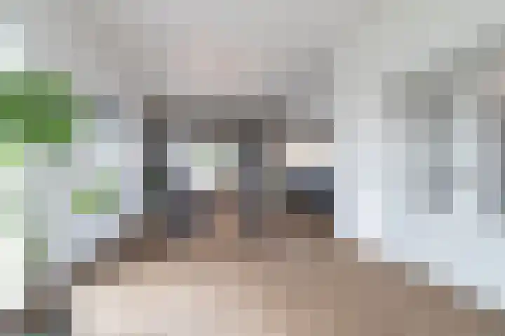Rijksweg 77 Smilde thumbnail 12