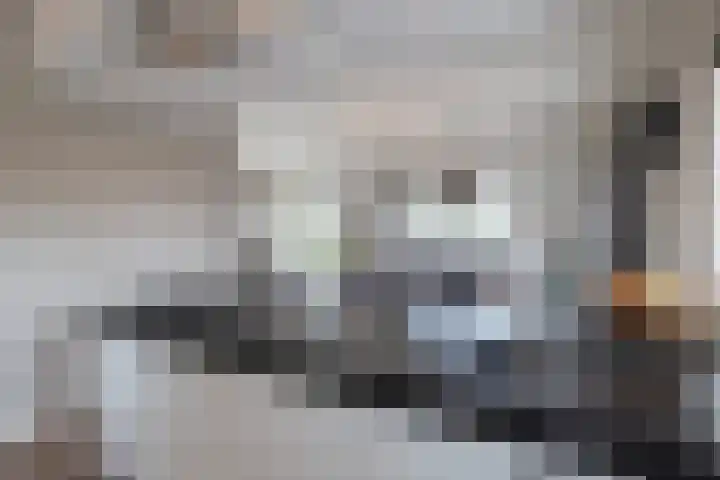 Rijksweg 77 Smilde thumbnail 19