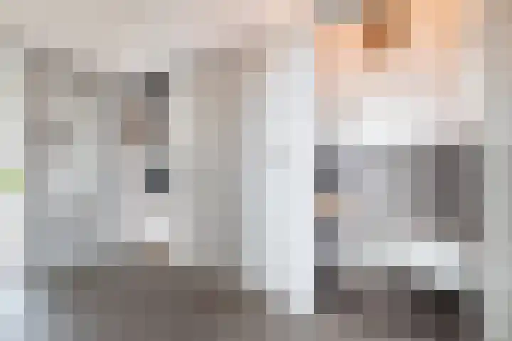 Rijksweg 77 Smilde thumbnail 22