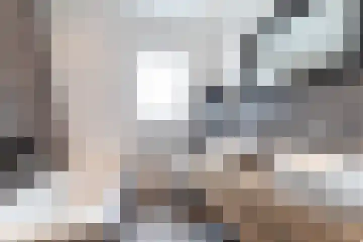 Rijksweg 77 Smilde thumbnail 37